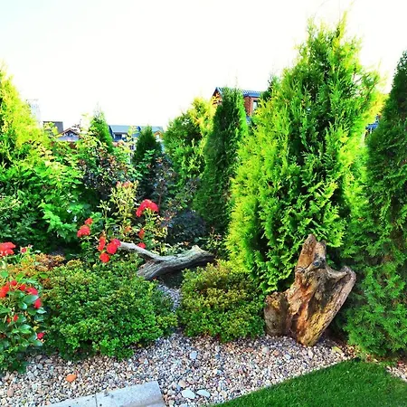 База отдыха Amelia Устроне-Морске